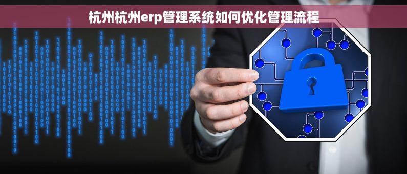 杭州杭州erp管理系统如何优化管理流程