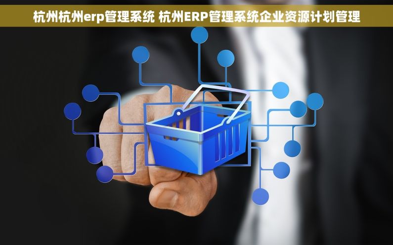 杭州杭州erp管理系统 杭州ERP管理系统企业资源计划管理