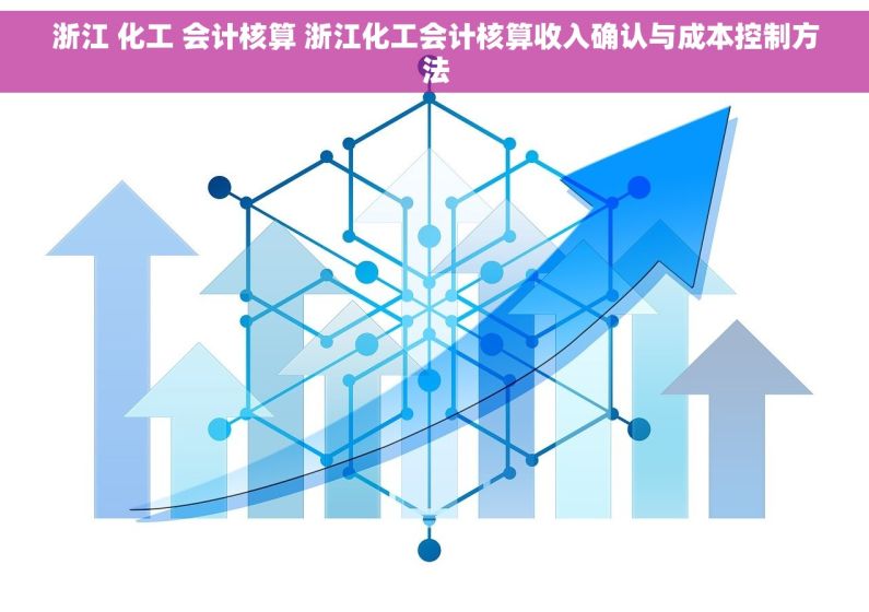 浙江 化工 会计核算 浙江化工会计核算收入确认与成本控制方法