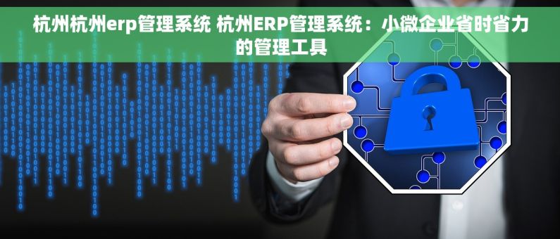杭州杭州erp管理系统 杭州ERP管理系统：小微企业省时省力的管理工具