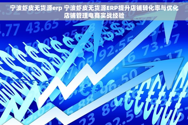 宁波虾皮无货源erp 宁波虾皮无货源ERP提升店铺转化率与优化店铺管理电商实战经验