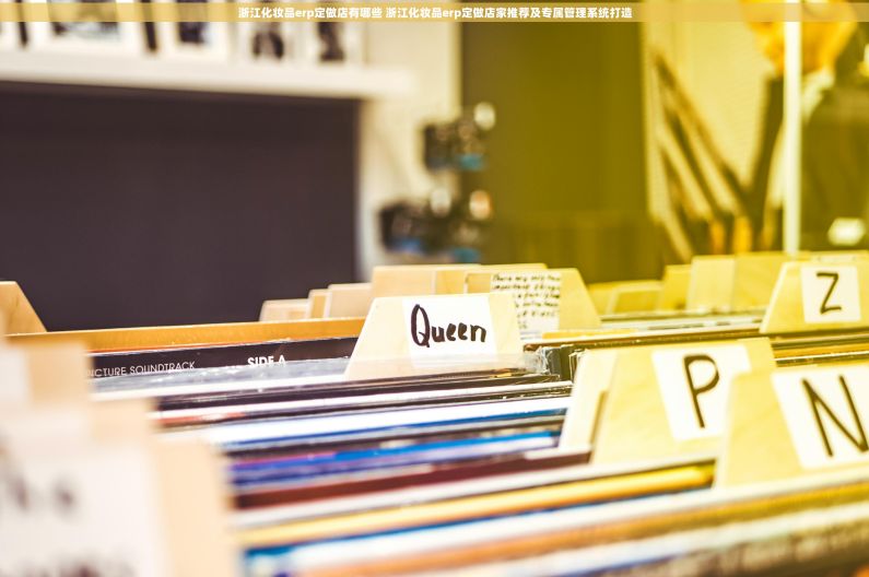浙江化妆品erp定做店有哪些 浙江化妆品erp定做店家推荐及专属管理系统打造