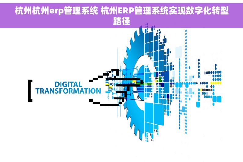 杭州杭州erp管理系统 杭州ERP管理系统实现数字化转型路径