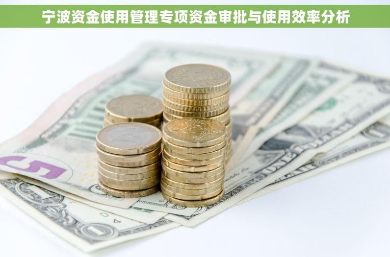 宁波资金使用管理专项资金审批与使用效率分析