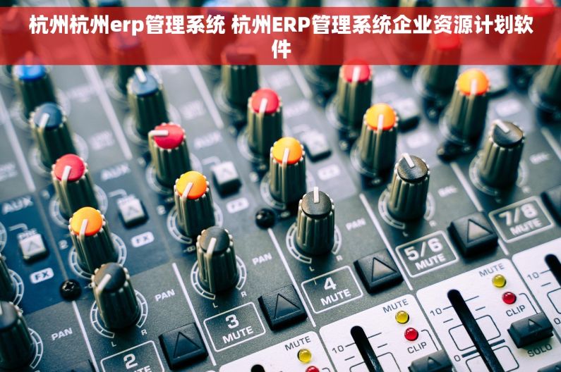 杭州杭州erp管理系统 杭州ERP管理系统企业资源计划软件