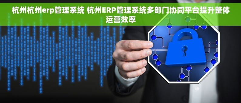 杭州杭州erp管理系统 杭州ERP管理系统多部门协同平台提升整体运营效率
