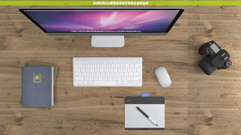杭州杭州erp管理系统适合各类企业的选择 杭州杭州erp管理系统适合各类企业的选择