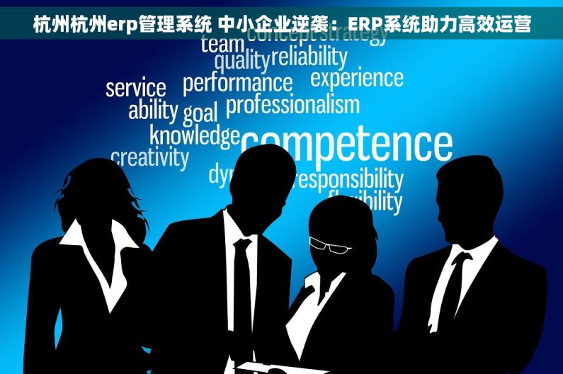 杭州杭州erp管理系统 中小企业逆袭：ERP系统助力高效运营