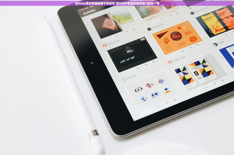 绍兴erp系统有哪些牌子的软件 绍兴ERP系统品牌及热门软件一览