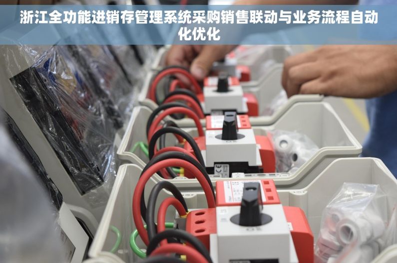 浙江全功能进销存管理系统采购销售联动与业务流程自动化优化