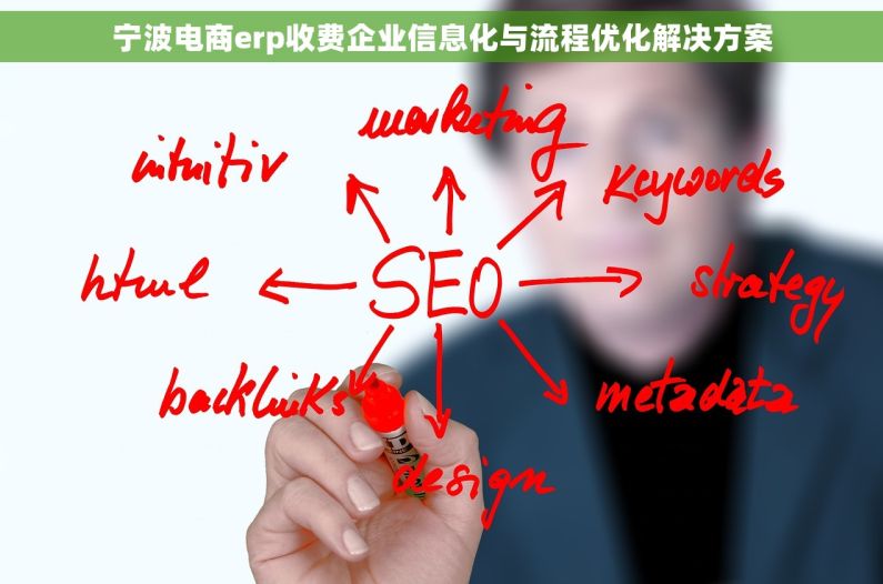 宁波电商erp收费企业信息化与流程优化解决方案