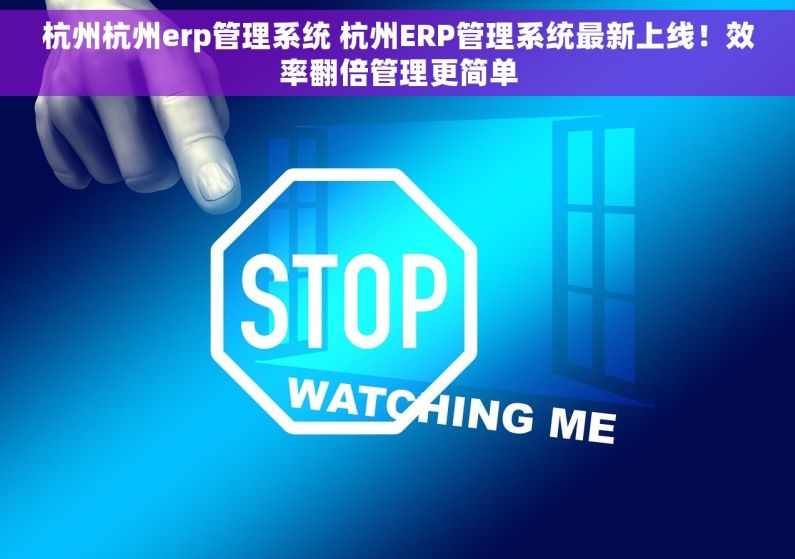 杭州杭州erp管理系统 杭州ERP管理系统最新上线！效率翻倍管理更简单