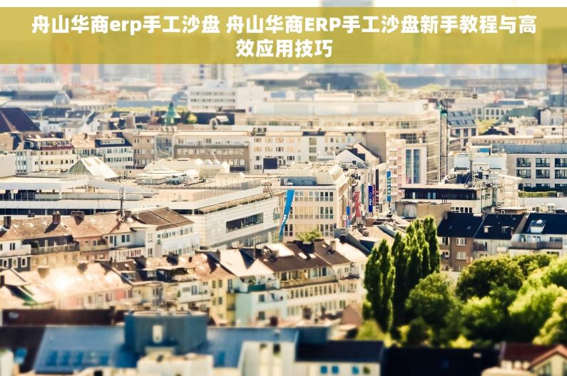 舟山华商erp手工沙盘 舟山华商ERP手工沙盘新手教程与高效应用技巧 舟山华商erp手工沙盘 舟山华商ERP手工沙盘新手教程与高效应用技巧