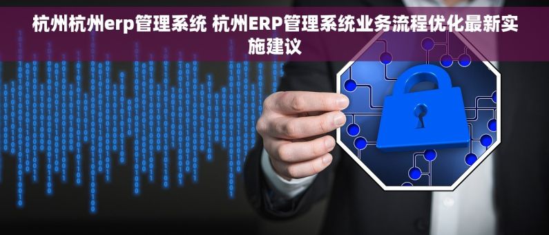 杭州杭州erp管理系统 杭州ERP管理系统业务流程优化最新实施建议