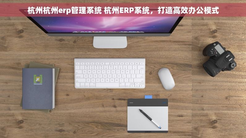 杭州杭州erp管理系统 杭州ERP系统，打造高效办公模式