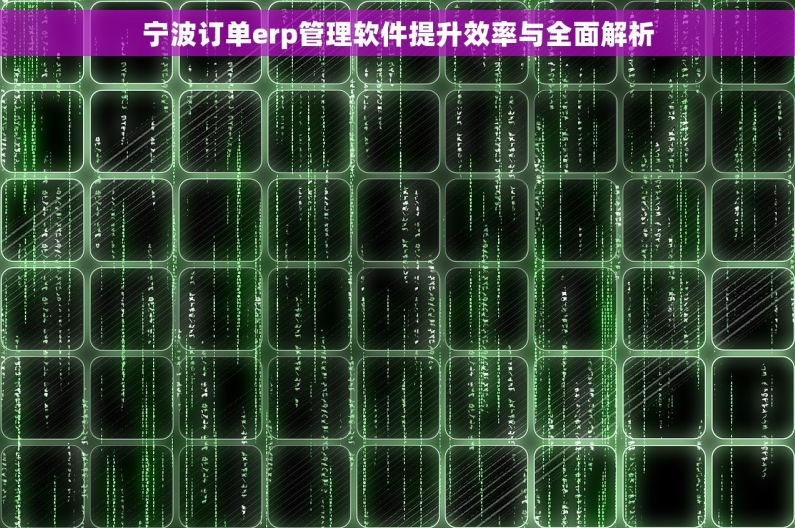 宁波订单erp管理软件提升效率与全面解析