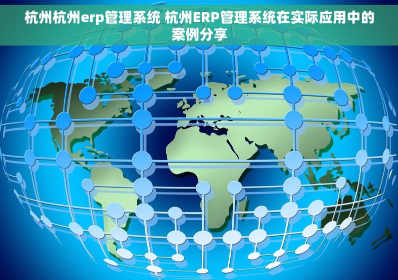杭州杭州erp管理系统 杭州ERP管理系统在实际应用中的案例分享