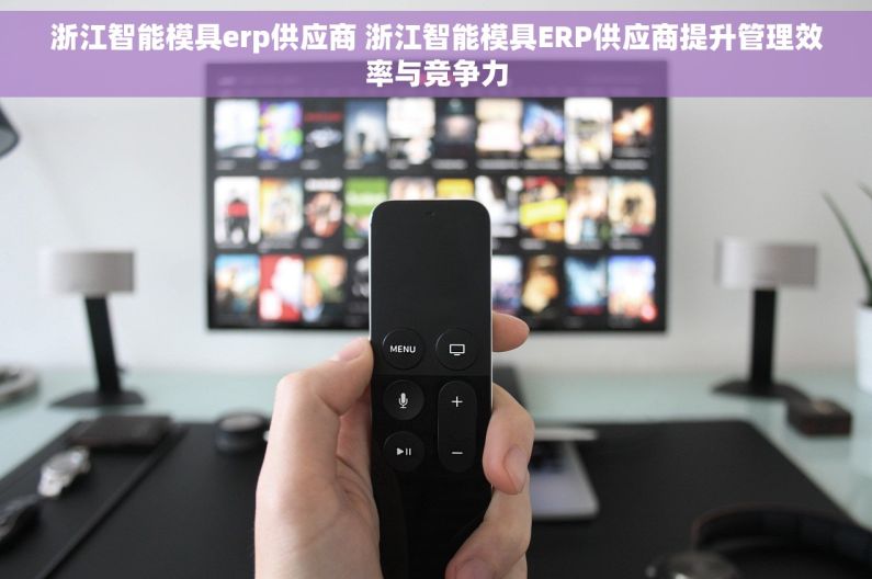 浙江智能模具erp供应商 浙江智能模具ERP供应商提升管理效率与竞争力