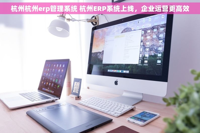 杭州杭州erp管理系统 杭州ERP系统上线，企业运营更高效