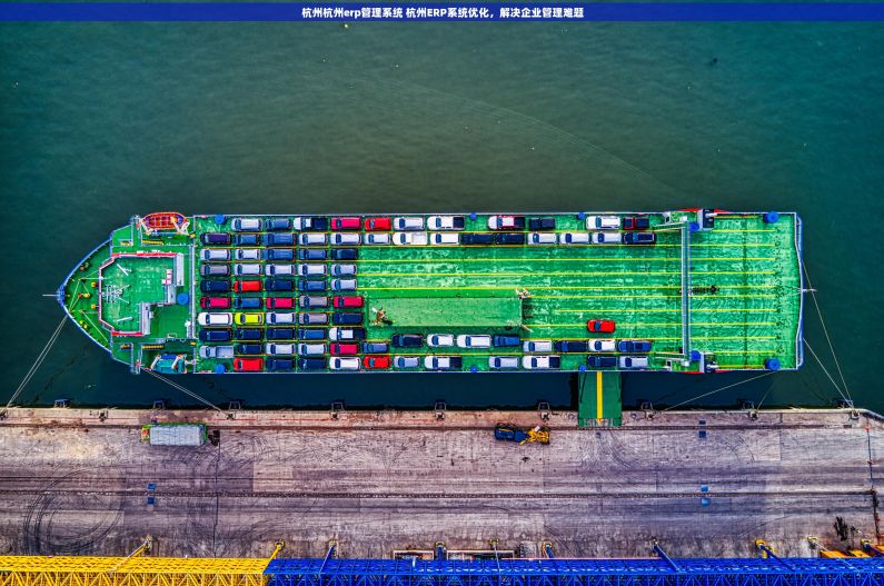 杭州杭州erp管理系统 杭州ERP系统优化，解决企业管理难题