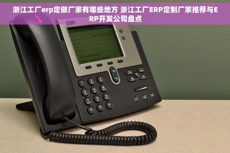 浙江工厂erp定做厂家有哪些地方 浙江工厂ERP定制厂家推荐与ERP开发公司盘点