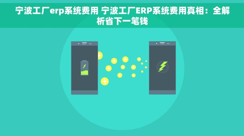 宁波工厂erp系统费用 宁波工厂ERP系统费用真相：全解析省下一笔钱