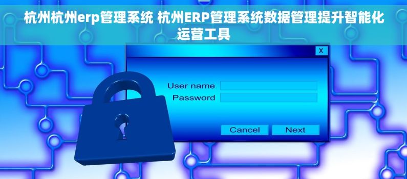 杭州杭州erp管理系统 杭州ERP管理系统数据管理提升智能化运营工具