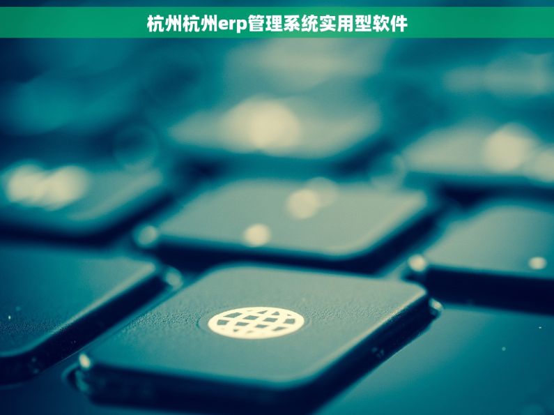 杭州杭州erp管理系统实用型软件