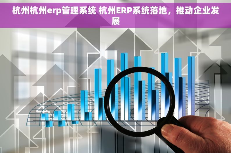杭州杭州erp管理系统 杭州ERP系统落地，推动企业发展