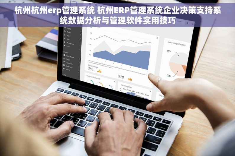 杭州杭州erp管理系统 杭州ERP管理系统企业决策支持系统数据分析与管理软件实用技巧