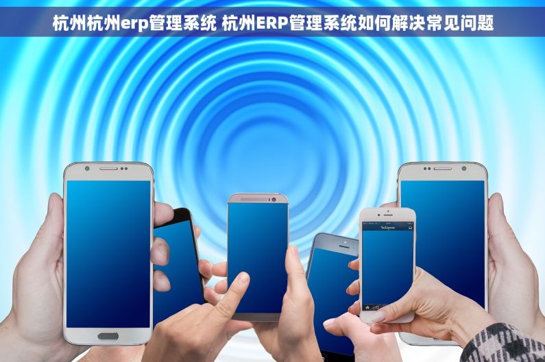 杭州杭州erp管理系统 杭州ERP管理系统如何解决常见问题