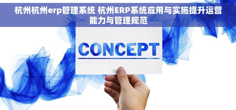 杭州杭州erp管理系统 杭州ERP系统应用与实施提升运营能力与管理规范