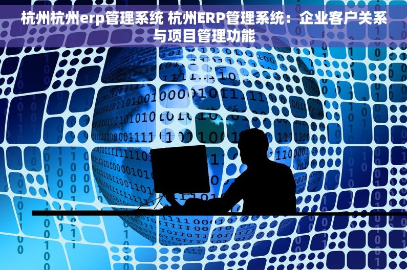 杭州杭州erp管理系统 杭州ERP管理系统：企业客户关系与项目管理功能