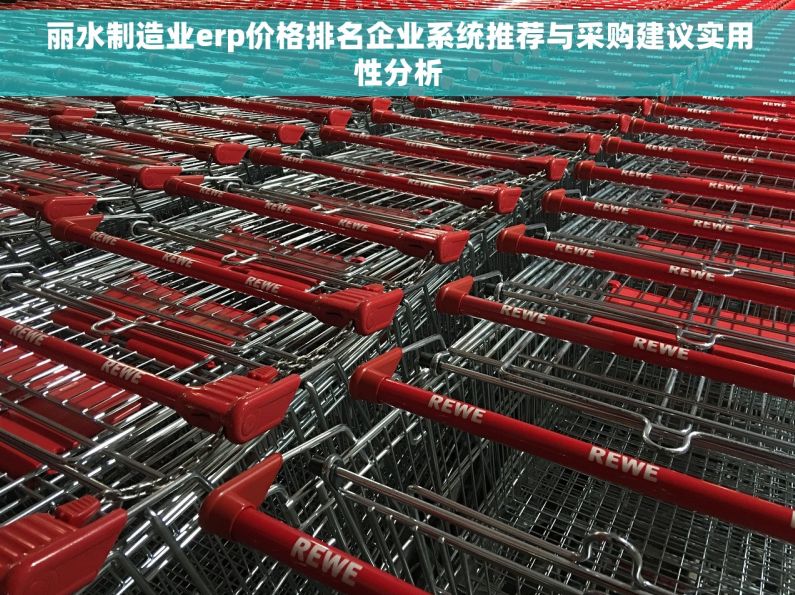 丽水制造业erp价格排名企业系统推荐与采购建议实用性分析