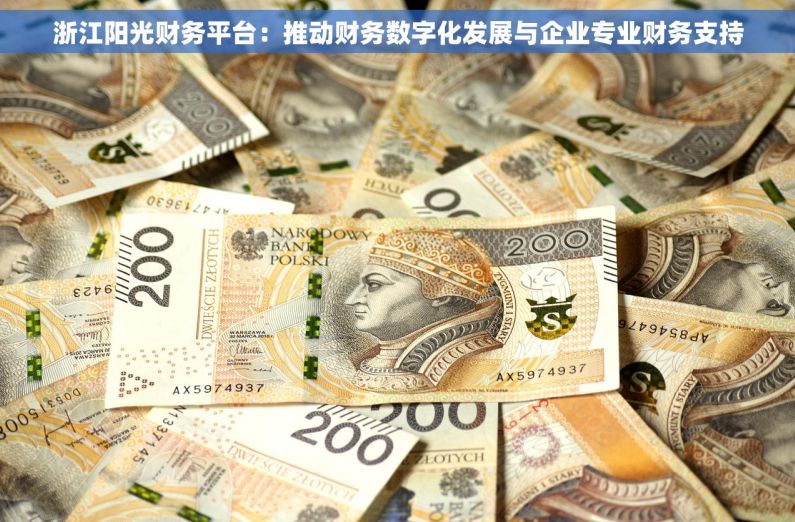 浙江阳光财务平台：推动财务数字化发展与企业专业财务支持