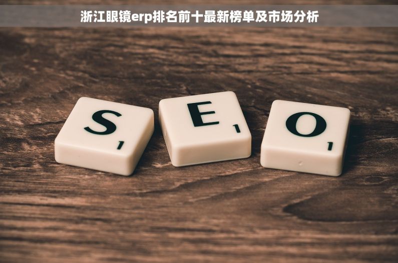 浙江眼镜erp排名前十最新榜单及市场分析