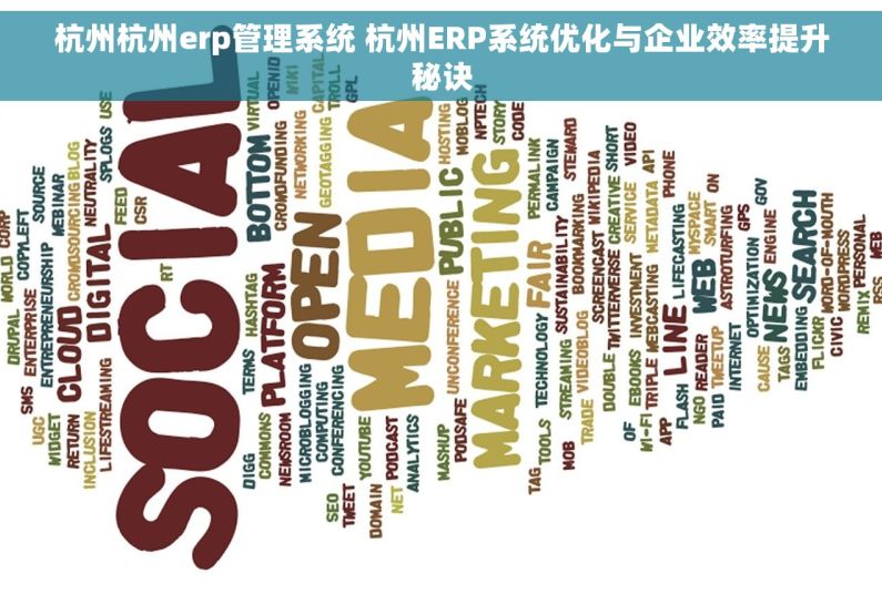 杭州杭州erp管理系统 杭州ERP系统优化与企业效率提升秘诀