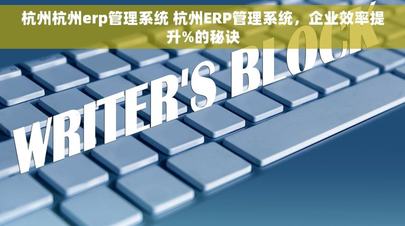 杭州杭州erp管理系统 杭州ERP管理系统，企业效率提升%的秘诀