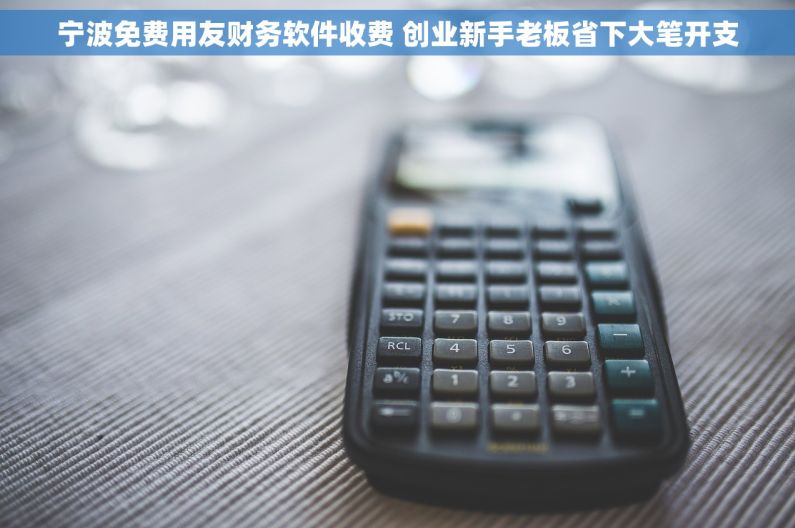 宁波免费用友财务软件收费 创业新手老板省下大笔开支