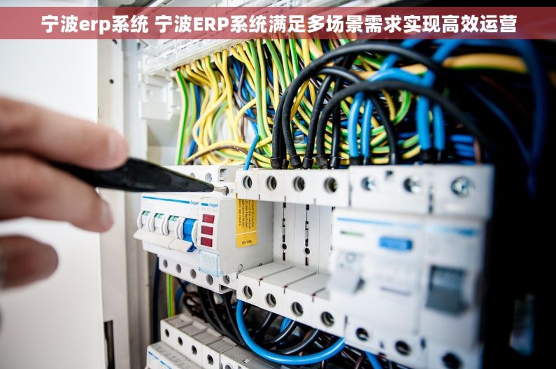 宁波erp系统 宁波ERP系统满足多场景需求实现高效运营 宁波erp系统 宁波ERP系统满足多场景需求实现高效运营