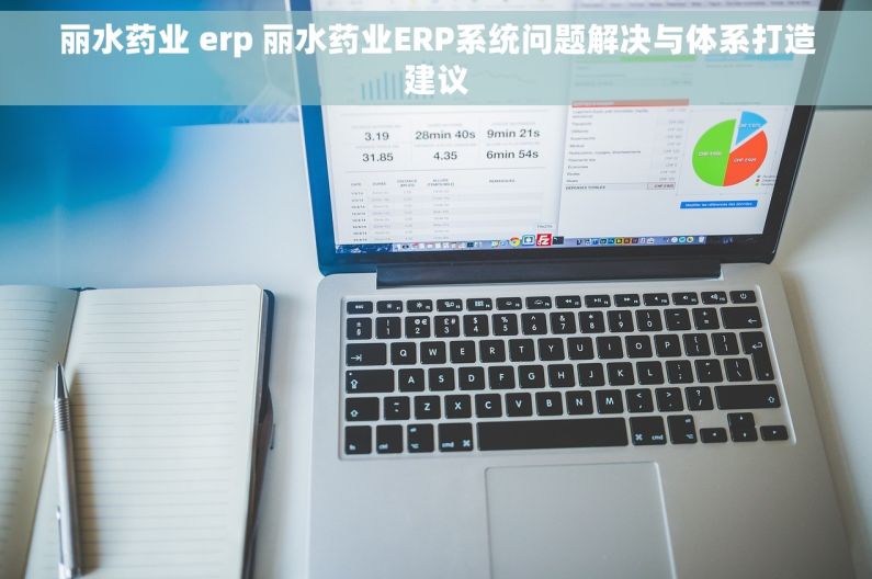 丽水药业 erp 丽水药业ERP系统问题解决与体系打造建议