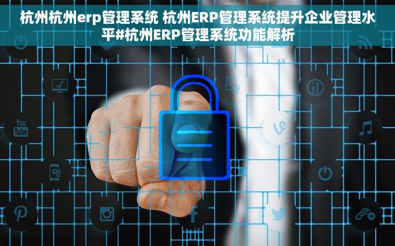 杭州杭州erp管理系统 杭州ERP管理系统提升企业管理水平#杭州ERP管理系统功能解析