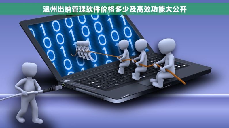 温州出纳管理软件价格多少及高效功能大公开 温州出纳管理软件价格多少及高效功能大公开