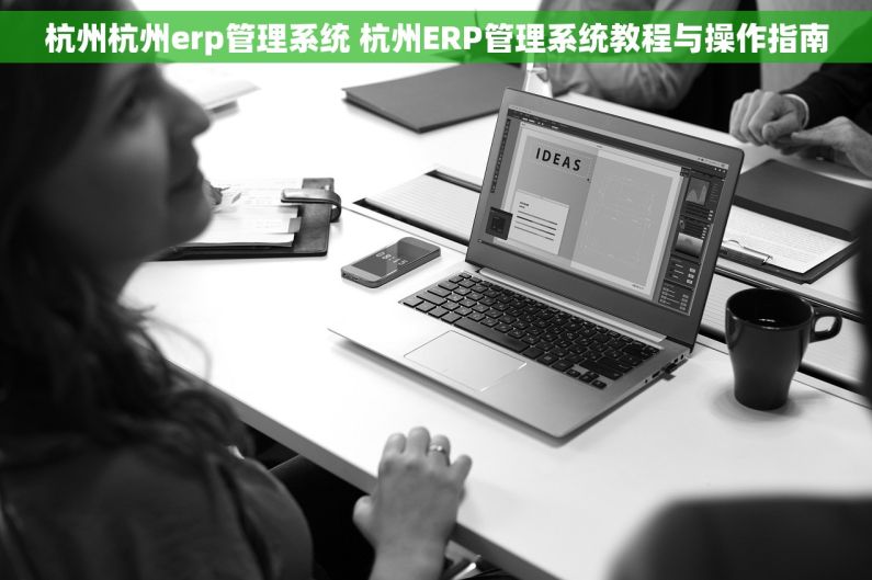 杭州杭州erp管理系统 杭州ERP管理系统教程与操作指南