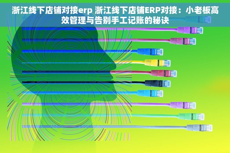 浙江线下店铺对接erp 浙江线下店铺ERP对接：小老板高效管理与告别手工记账的秘诀