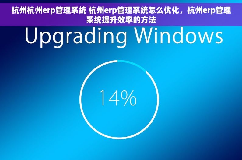 杭州杭州erp管理系统 杭州erp管理系统怎么优化，杭州erp管理系统提升效率的方法