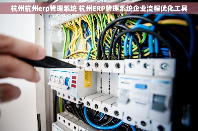 杭州杭州erp管理系统 杭州ERP管理系统企业流程优化工具 杭州杭州erp管理系统 杭州ERP管理系统企业流程优化工具