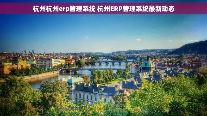 杭州杭州erp管理系统 杭州ERP管理系统最新动态