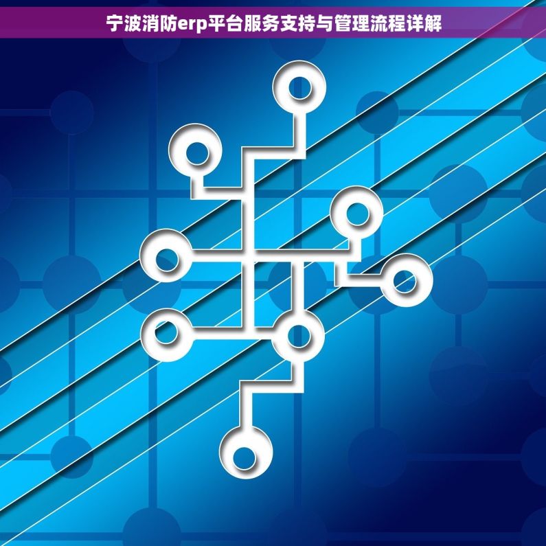 宁波消防erp平台服务支持与管理流程详解