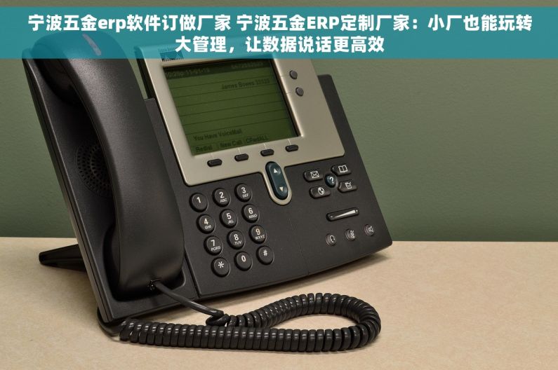 宁波五金erp软件订做厂家 宁波五金ERP定制厂家：小厂也能玩转大管理，让数据说话更高效